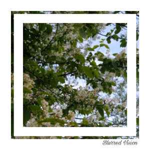 Listen to Blurred Vision song with lyrics from Casmo