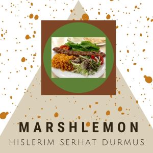 Dengarkan lagu Hislerim Serhat Durmus nyanyian Marshlemon dengan lirik