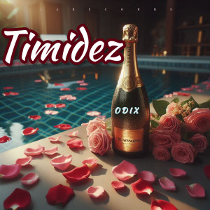 Los de la Nazza的專輯timidez