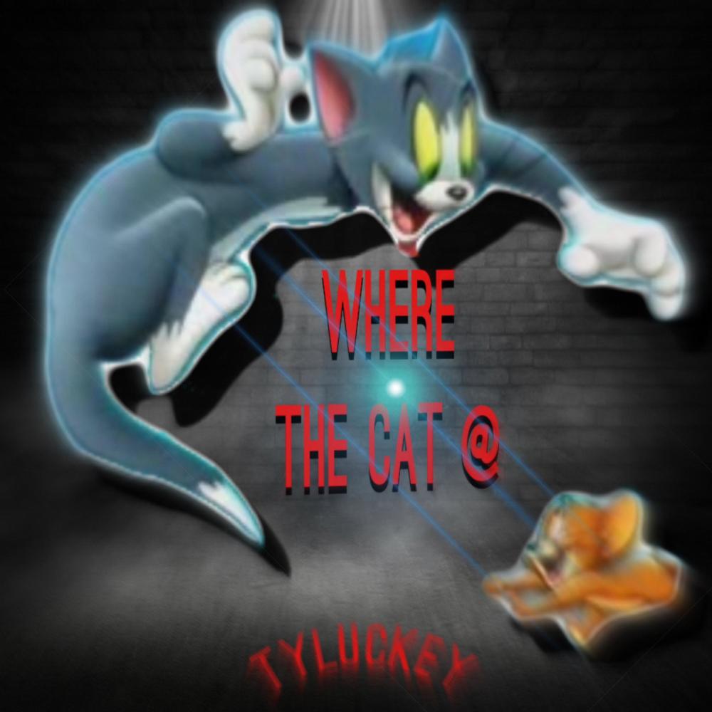 Where The Cat At (Explicit)