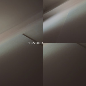 收听Cloudy Clouzy 不明雾的婉柔歌词歌曲