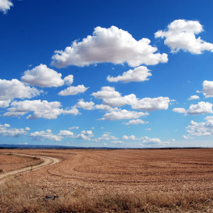 Dengarkan Ambient Music for Stress Relief lagu dari Deep Sleep dengan lirik