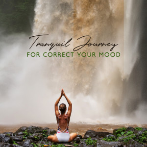 Album Tranquil Journey for Correct Your Mood (Instant Relaxation and Calm Meditation) from Just Relax Music Universe