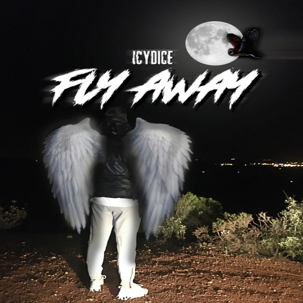 Fly Away