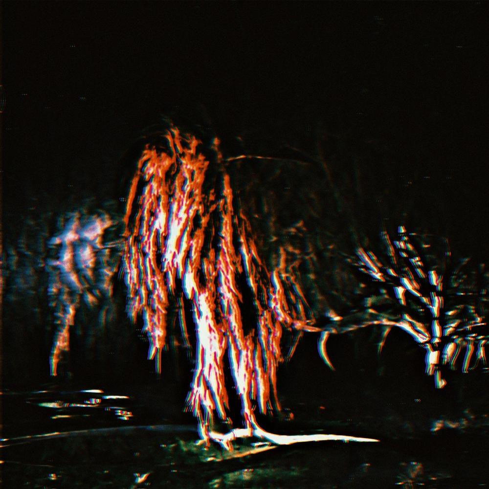 Weeping Willow (feat. mesq, DNFJAY & SKOTSKR) (Explicit)