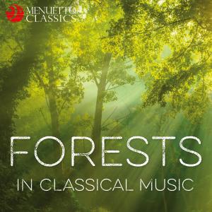 收聽Maria Lettberg的The Mysterious Forest, Six Pieces for Piano, Op. 118: VI. Troll's Dance (其他)歌詞歌曲