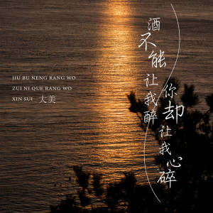 收听大美WH的酒不能让我醉你却让我心碎歌词歌曲