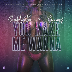 Album You Make Me Wanna (Explicit) from Smiggz