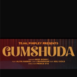 Album Gumshuda from Deep Money