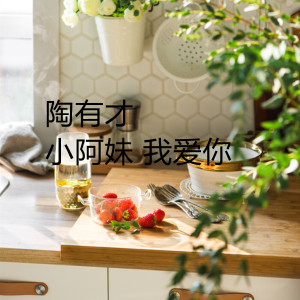 收聽陶有才的小阿妹，我愛你歌詞歌曲