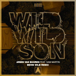 Armin Van Buuren的专辑Wild Wild Son