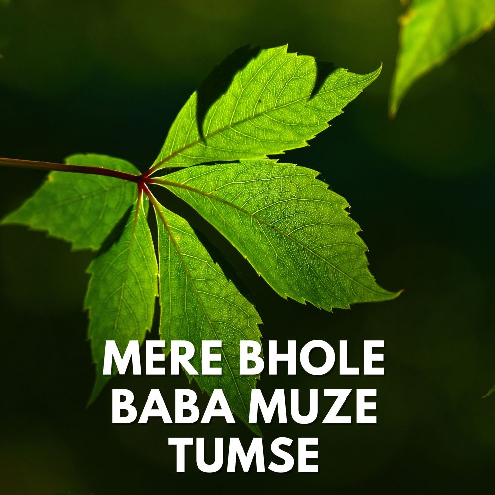Mere Bhole Baba Muze Tumse