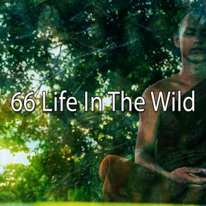 Dengarkan Open to the World lagu dari Internal Yoga Music dengan lirik