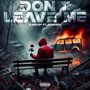 Slimbaby的專輯Don't Leave Me (feat. BigMurda) [Explicit]