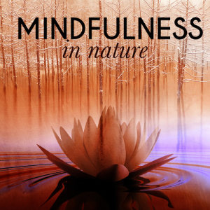 收聽Mindful Nature的Sunday Birds歌詞歌曲