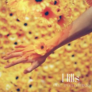 Album Hills from Dyelo Think
