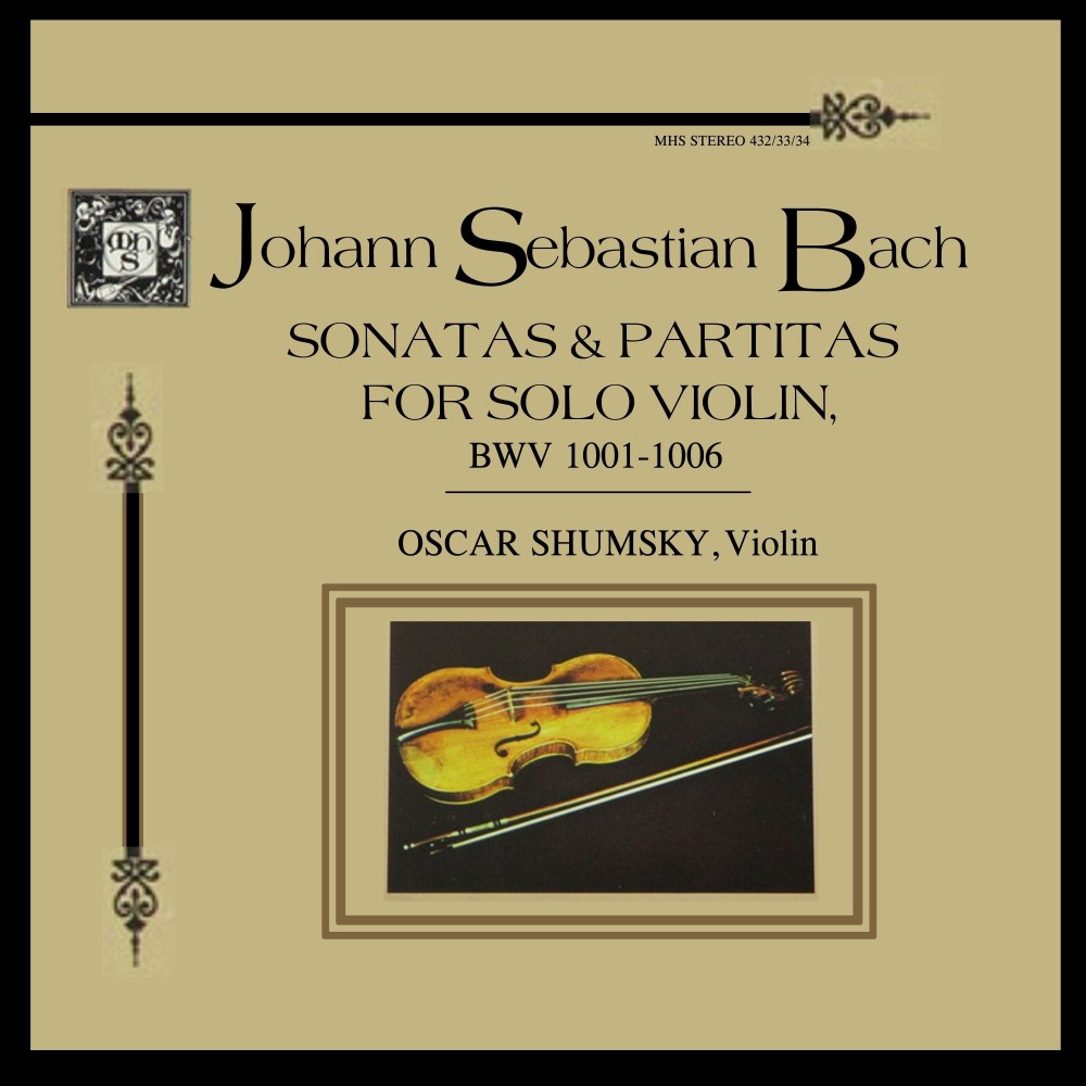 Partita No. 1 in B minor, BWV 1002: V. Sarabande