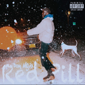 Listen to Red Pill (Explicit) song with lyrics from Don Mojo