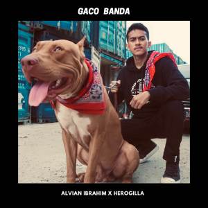 Alvian Ibrahim的專輯GACO BANDA
