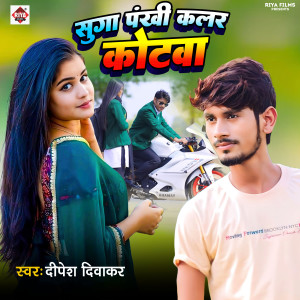 Album Suga Pankhi Color Kotwa from Dipesh diwakar