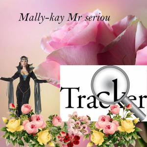 收聽Mally-kay Mr serious的Trackor歌詞歌曲