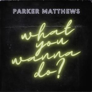 ดาวน์โหลดและฟังเพลง What You Wanna Do? (Explicit) พร้อมเนื้อเพลงจาก Parker Matthews