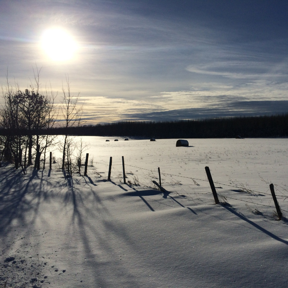 Christmas Time on the Prairies (feat. David Hamilton)