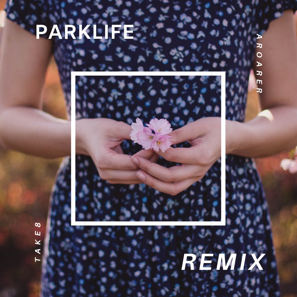 Park Life (the Remix)