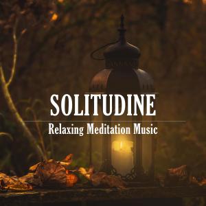 Relaxing Meditation Music的專輯Solitudine