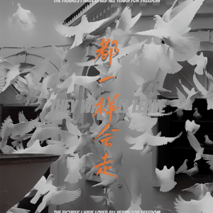 Album 都一样会走 from 1K