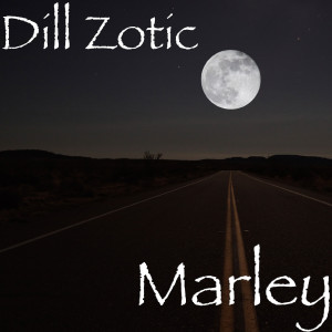 Listen to Marley (Explicit) song with lyrics from Dill Zotic