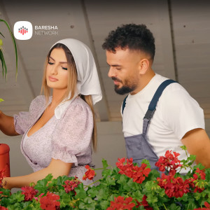 Listen to SHOQE song with lyrics from Durim Malaj