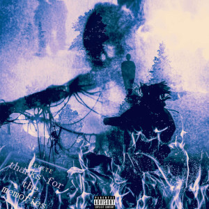 的專輯DELETE (thanks for the memories) [Explicit]