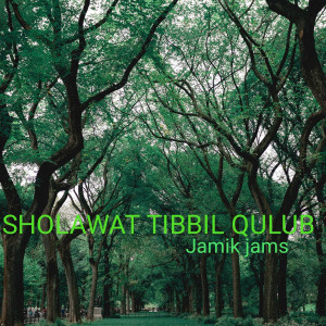 Dengarkan Sholawat Tibbil Qulub lagu dari Jamik Jams dengan lirik