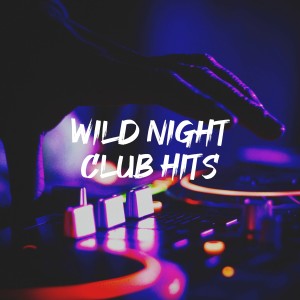 Wild Night Club Hits