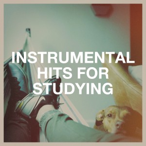 Album Instrumental Hits for Studying oleh The Cover Lovers