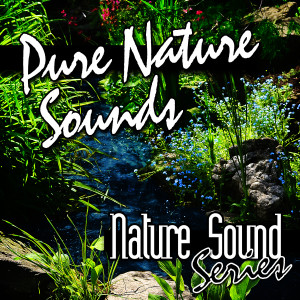 收聽Nature Sound Series的Medium Size River Rushing By歌詞歌曲
