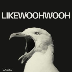 Album Like Wooh Wooh (Slowed) from Goodman, Irwin