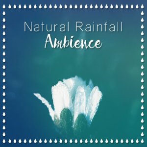 Natural Rain Sounds的專輯Natural Rainfall: Ambience