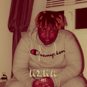 Album Nina (Explicit) from DKS