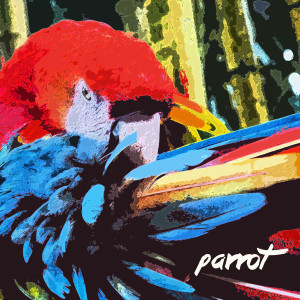 Album Parrot from Dean Martin