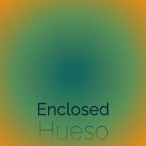 อัลบัม Enclosed Hueso ศิลปิน Various