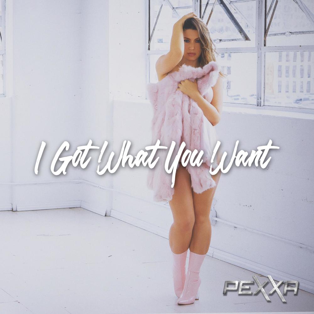 I Got What You Want (Explicit)