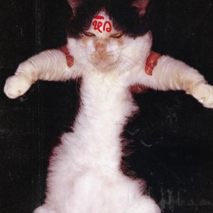 Listen to Pork Chop (โมโหหิว) song with lyrics from secretdancefloor