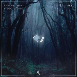 ดาวน์โหลดและฟังเพลง Picture พร้อมเนื้อเพลงจาก Aaron Shirk
