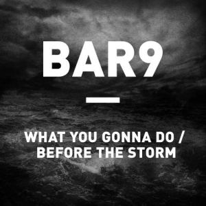 Bar9的專輯What You Gonna Do / Before the Storm