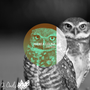 Album Cold State oleh Andrea Colina