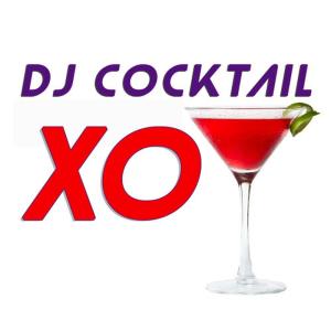 ดาวน์โหลดและฟังเพลง Xo (Karaoke Version) พร้อมเนื้อเพลงจาก DJ Cocktail