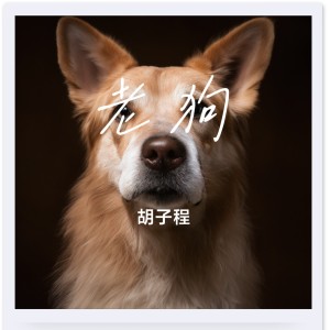 收聽鬍子程的老狗 (伴奏)歌詞歌曲