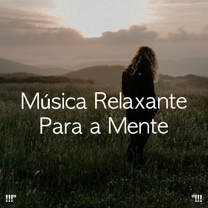Música Relajante para Perros的专辑!!!" Música relaxante para a mente "!!!